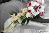 /album/mariages/photo-005-jpg/