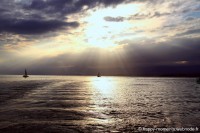 /album/divers/photo-008-jpg2/