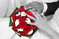 /album/mariages/diniz-157-jpg/